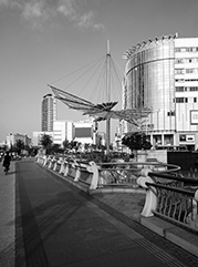 金川公司注册